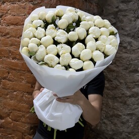 Пион белый 51