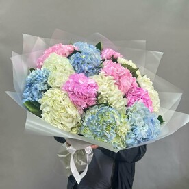 Микс гортензии 15 штук