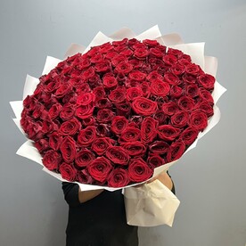 Красная роза 101