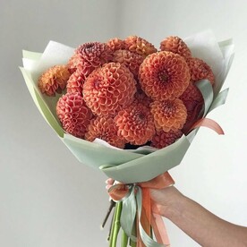 19 штук Георгины