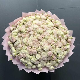 101 пионовидных кустовых роз