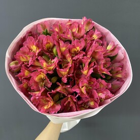 Альстромерия, Тишью, Дизайнерская упаковка