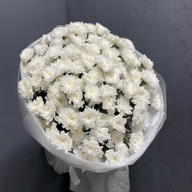 19 кустовая хризантема