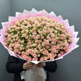 39 кустовая Роза