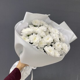 Хризантема кустовая