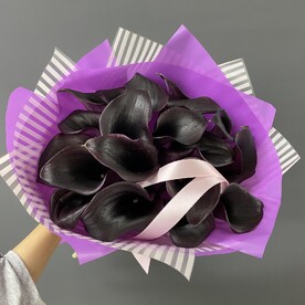 Калла черная 19