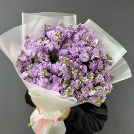 Маттиола сиреневая 💜