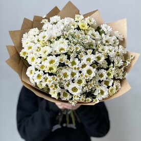 Хризантема кустовая, Ромашка, Крафт, Открытка, Аквапак