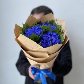 Васильки