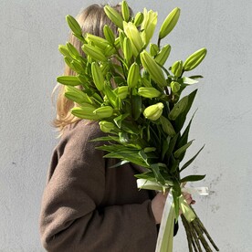 Лилии