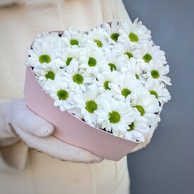 Нежное сердце с ромашками
