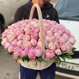 Ароматные пионы Сара Бернар