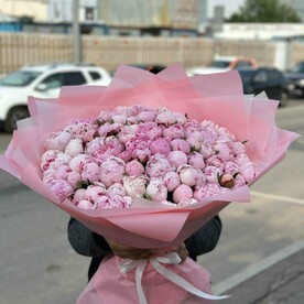 101 пион