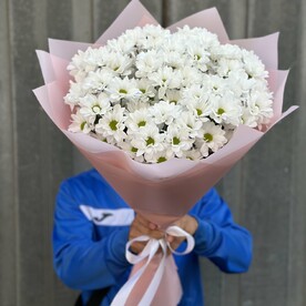 Хризантема кустовая, Дизайнерская упаковка, Открытка