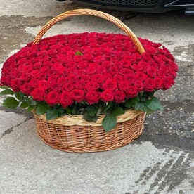 Корзина из 301 розы