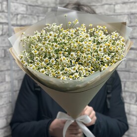 Ароматная ромашка