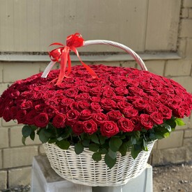 Вип корзина из 501 розы