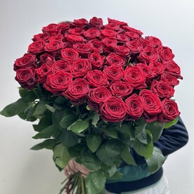 51 классика роз