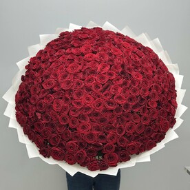 251 Роза вип букет