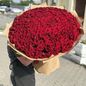 Огромный букет из 301 Роз💞💞💞