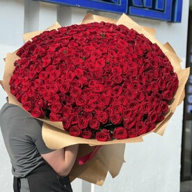 301 ароматных роз❤️❤️❤️