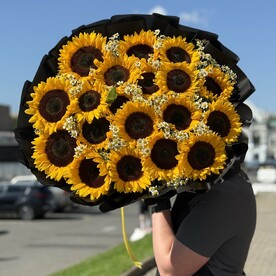 Подсолнухи с ромашками 🌻🌼