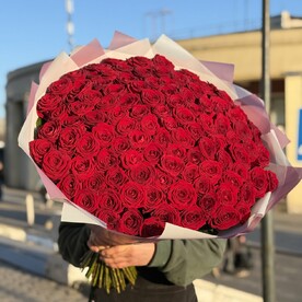 101 Роза классика