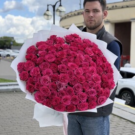 Малиновые голландские розы 101 веток