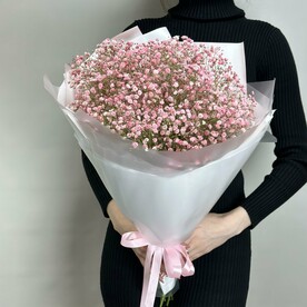 Букет из розовой гипсофилы S (М025)