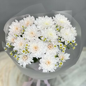 Хризантема с ромашкой