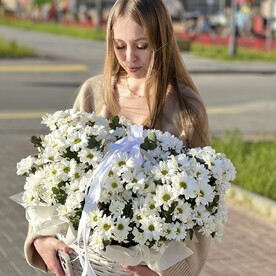 Ромашки