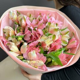 АЛЬСТРОМЕРИЯ стойкие цветы в букете по выгодной цене с отличным объемом