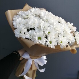Ромашковое поле