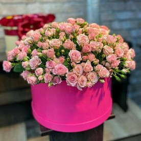 Роза кустовая, Шляпная коробка