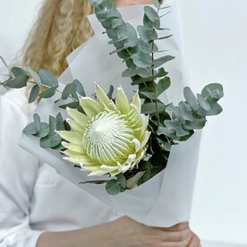 Протея, Эвкалипт, Авторская упаковка