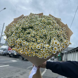 Букет из рамашки