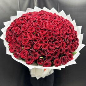 Красные Розы 151шт