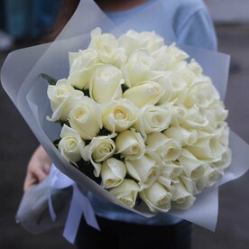 Роза белая