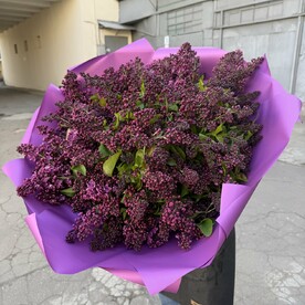Букет из 101 ветки сирени