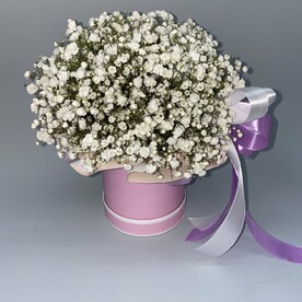 Коробка с белой гипсофилой