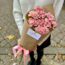 11 диантусов в кульке