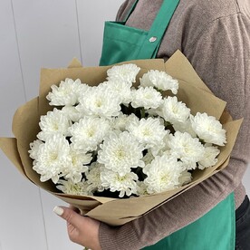 Хризантема кустовая, Крафт