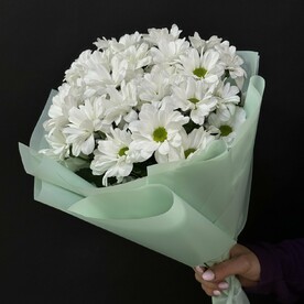 Хризантема кустовая, Авторская упаковка