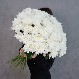 15 белых хризантем