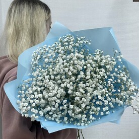Гипсофила, Пленка корейская