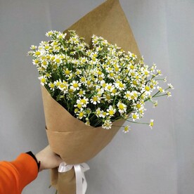 Букет из 11 ромашек