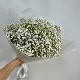 Букет из 7 веток белой гипсофилы