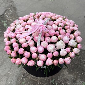 Пионы в Москве