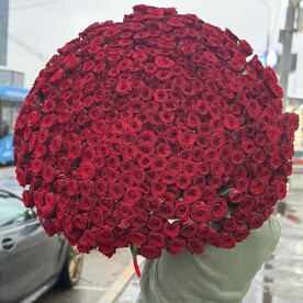 Букет из красных роз