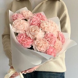 Нежные диантусы 15